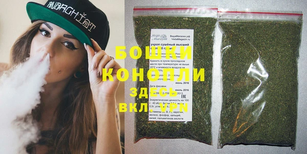 прущие грибы Абаза